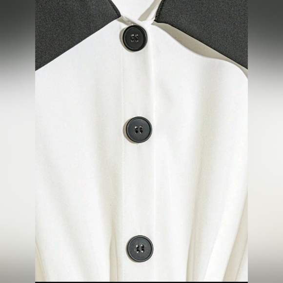 Women's Elegant Commuter Contrast Color Collar Sleeveless Pleated Dress - Picture 3 of 4